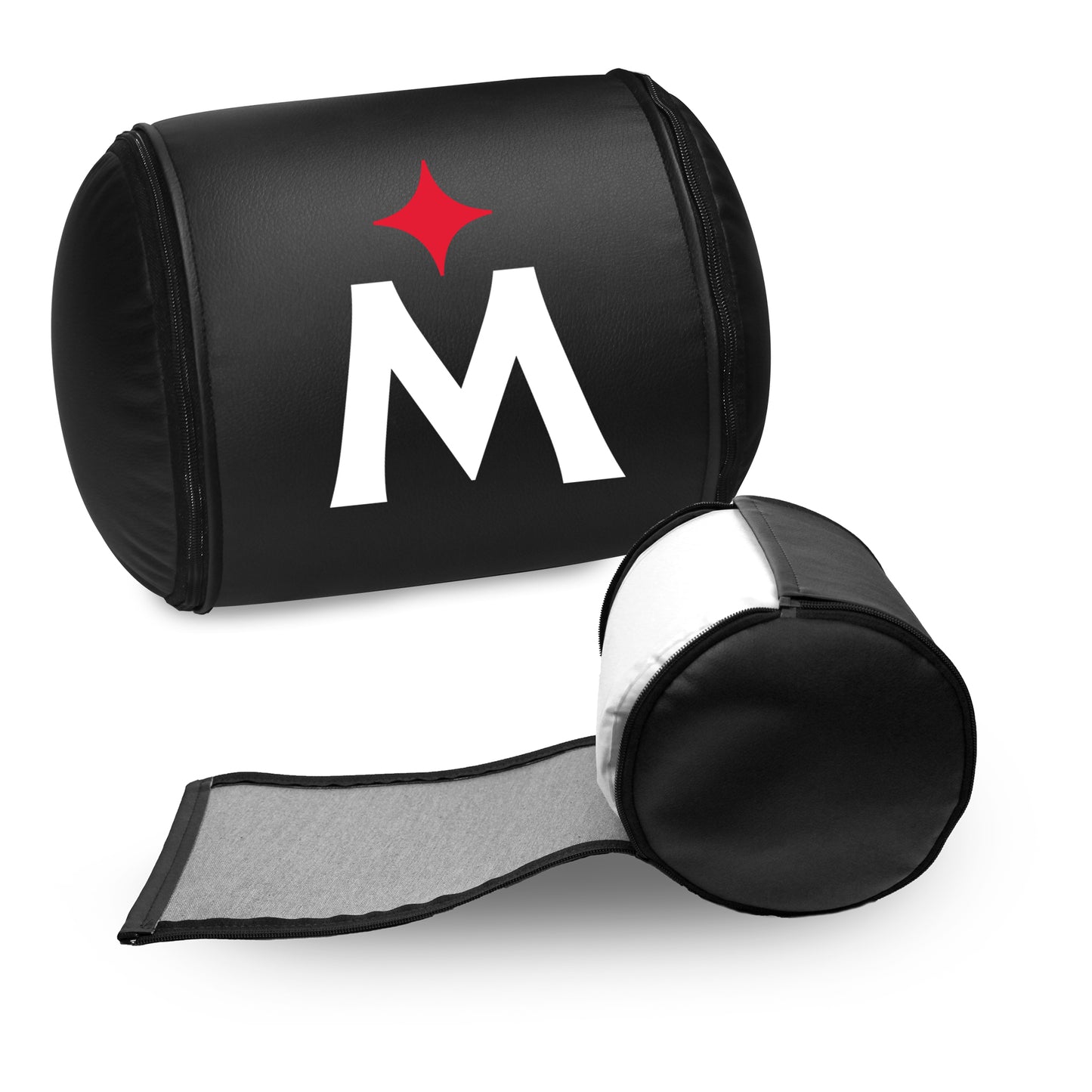 Minnesota Twins Alternate Logo Panel
