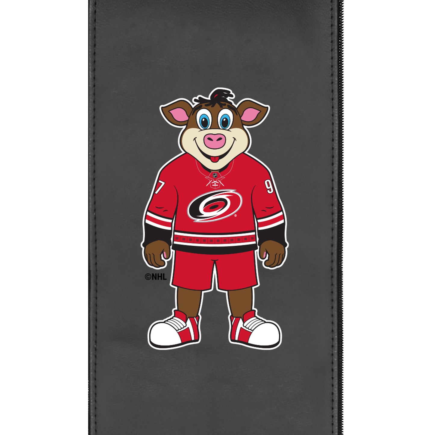 Carolina Hurricanes Stormy Mascot Logo Panel