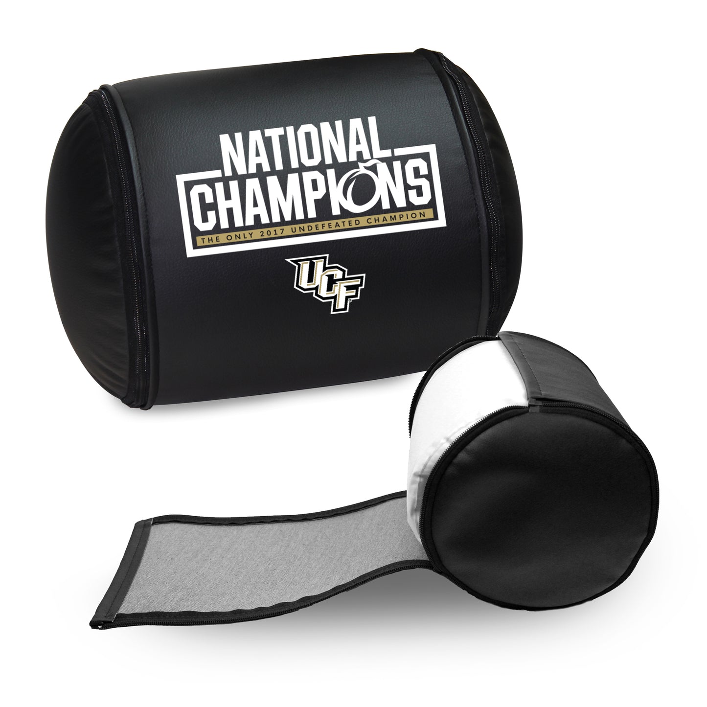 Central Florida UCF Knights Champions Logo Panel