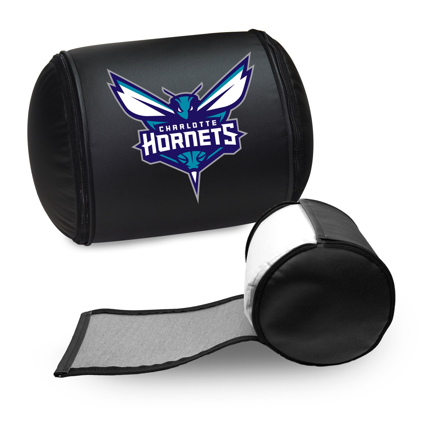 Charlotte Hornets Primary Logo Panel