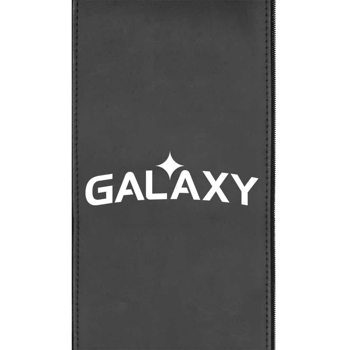LA Galaxy Wordmark Logo Panel