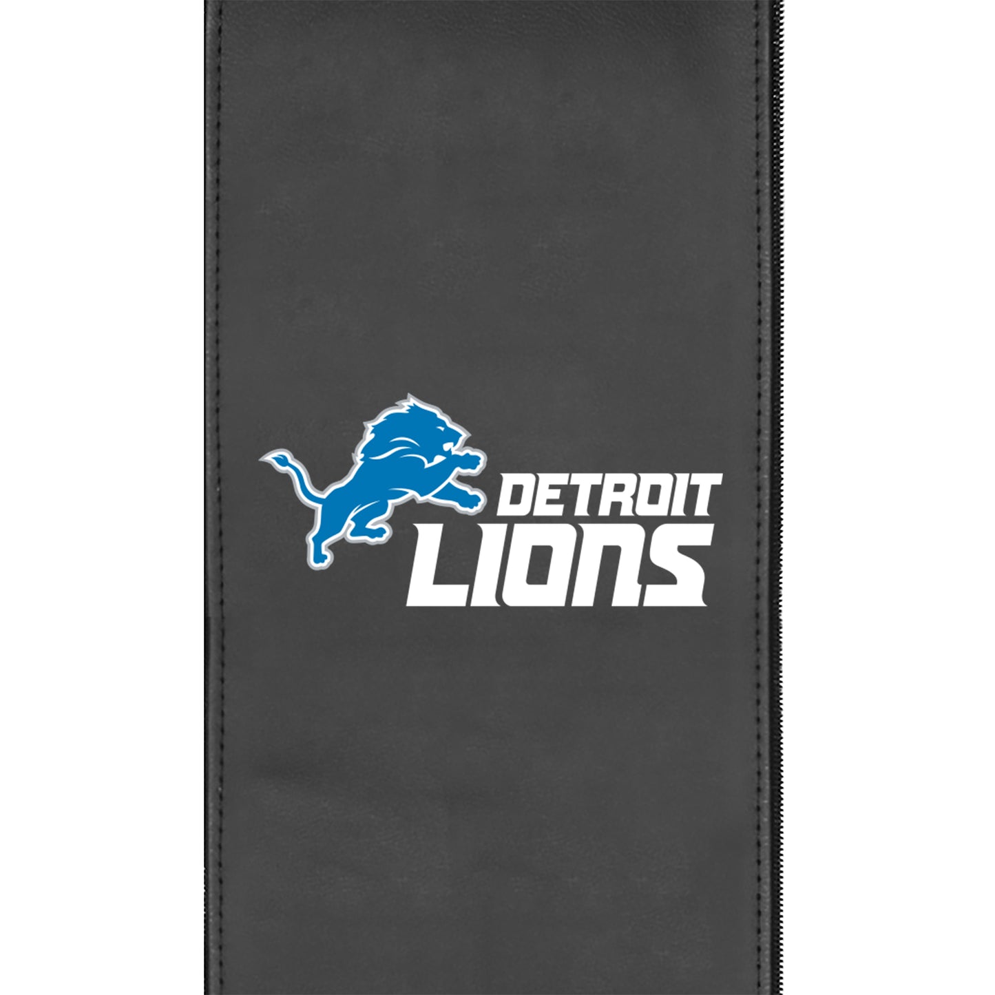 Detroit Lions Secondary Logo Panel