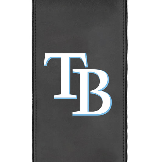 Tampa Bay Rays Secondary Logo Panel
