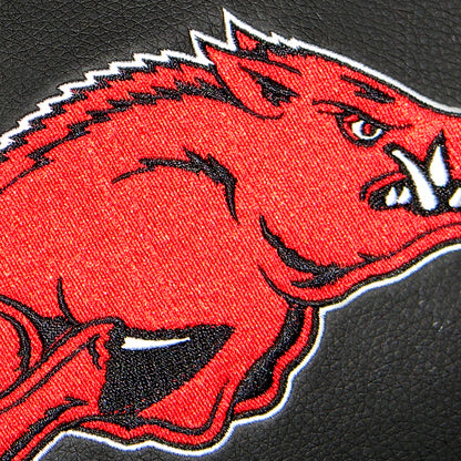 Arkansas Razorbacks Logo Panel