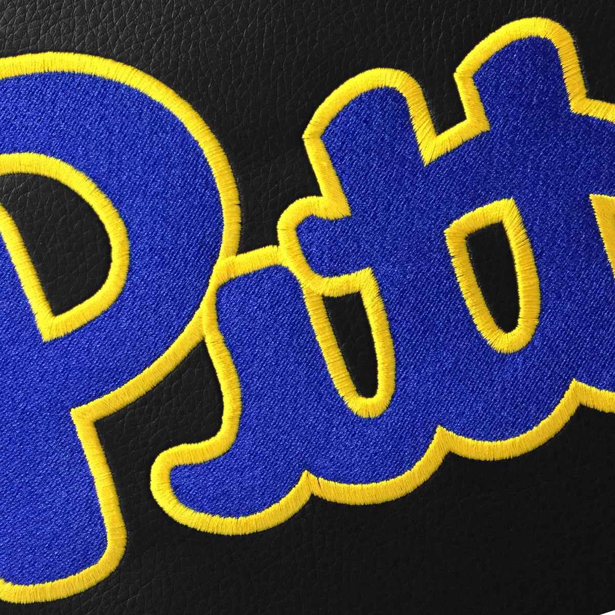 Pittsburgh Panthers Logo Panel