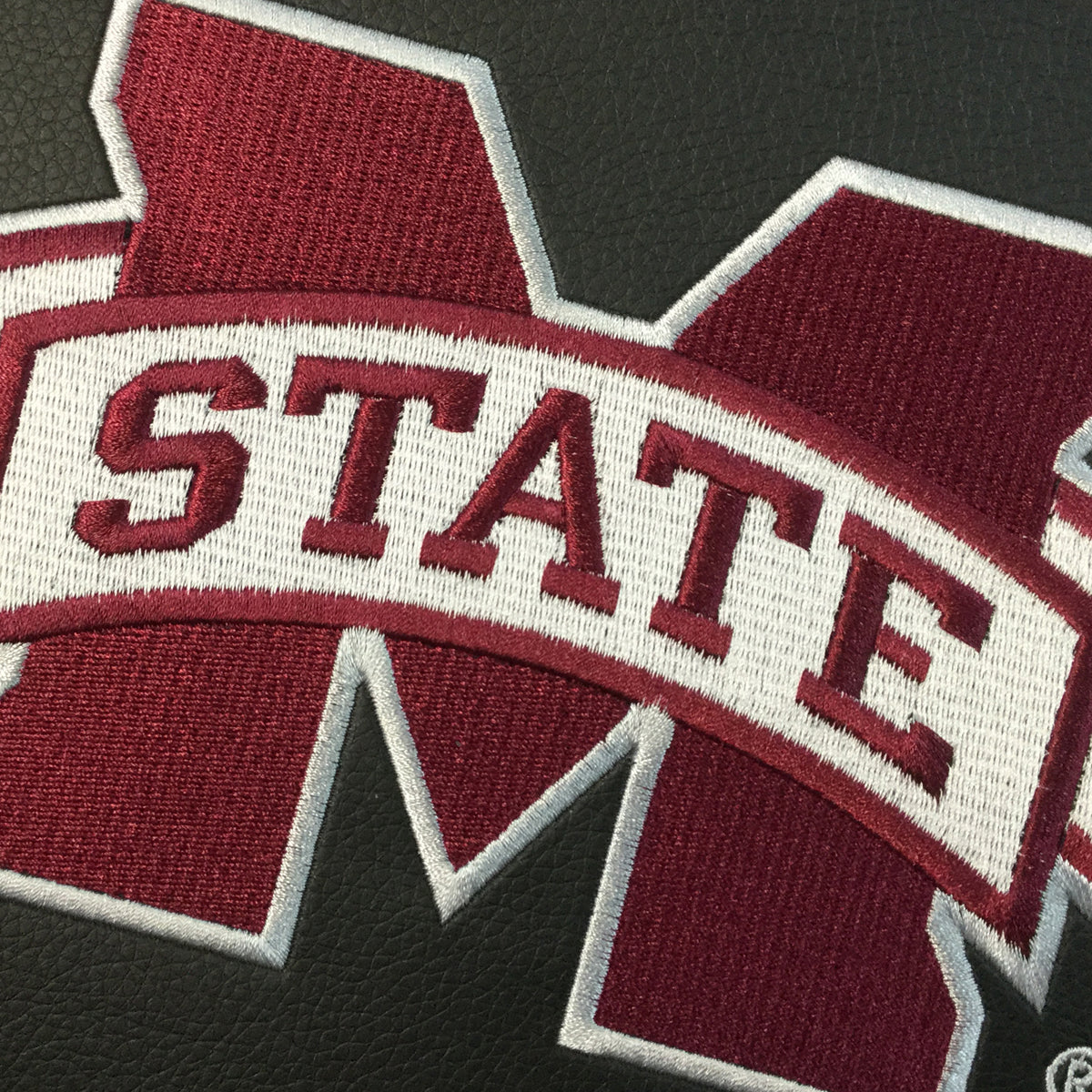 Logo Panel with Mississippi State Primary