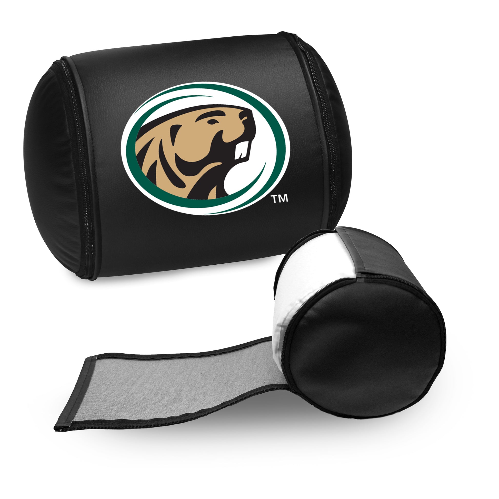 Bemidji State Beavers