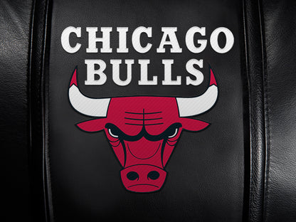 Chicago Bulls Logo Panel