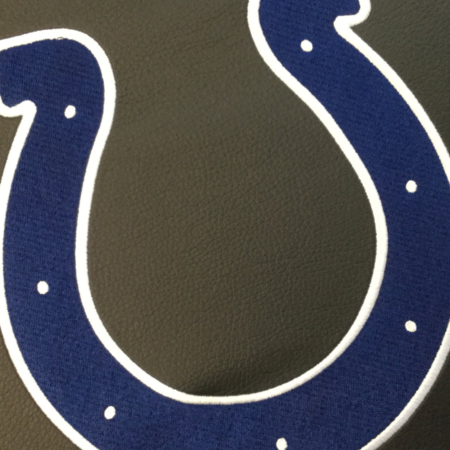 Indianapolis Colts Primary Logo Panel