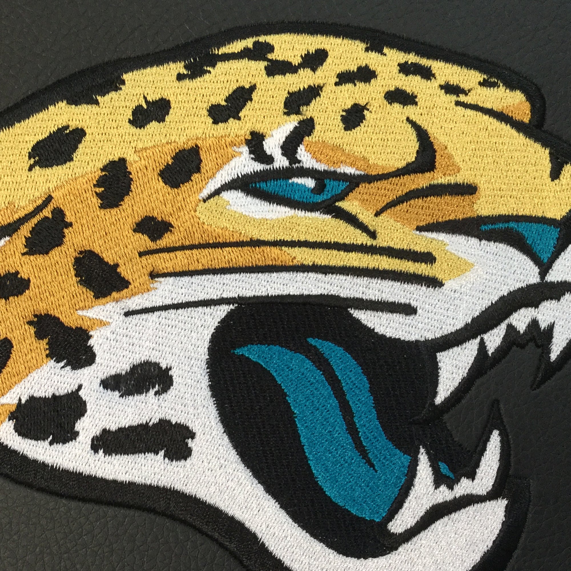 Jacksonville Jaguars Primary Logo Panel
