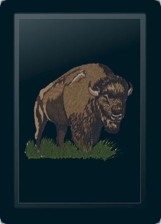 Buffalo-American